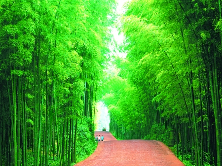 蜀南竹海+圣灵山大溶洞 神奇地心探秘健康度假二日游