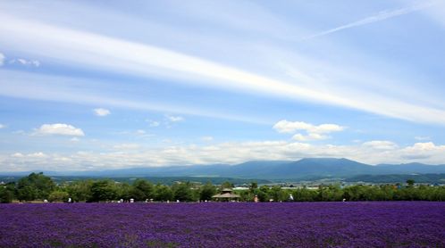 日本东京北海道温泉六日之旅