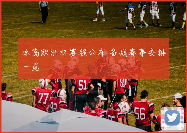 冰岛欧洲杯赛程公布 备战赛事安排一览