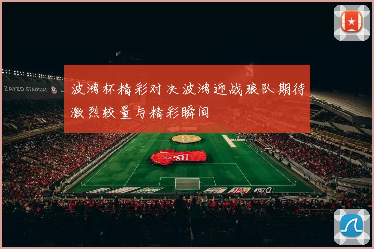 波鸿杯精彩对决波鸿迎战狼队期待激烈较量与精彩瞬间