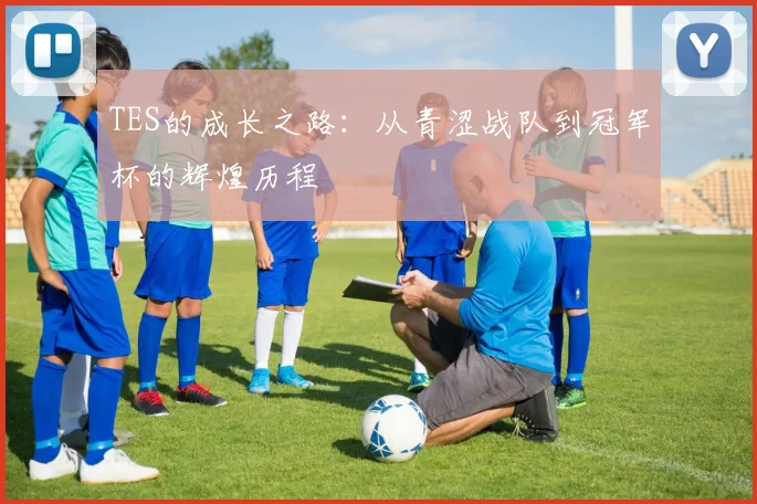 TES的成长之路：从青涩战队到冠军杯的辉煌历程