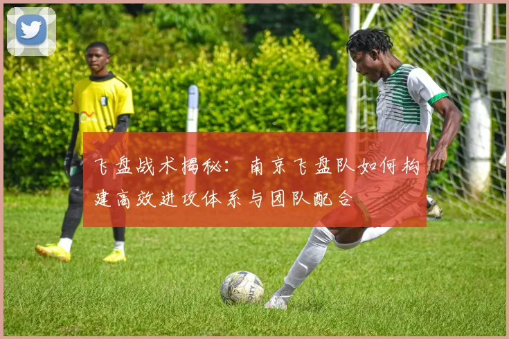 飞盘战术揭秘：南京飞盘队如何构建高效进攻体系与团队配合